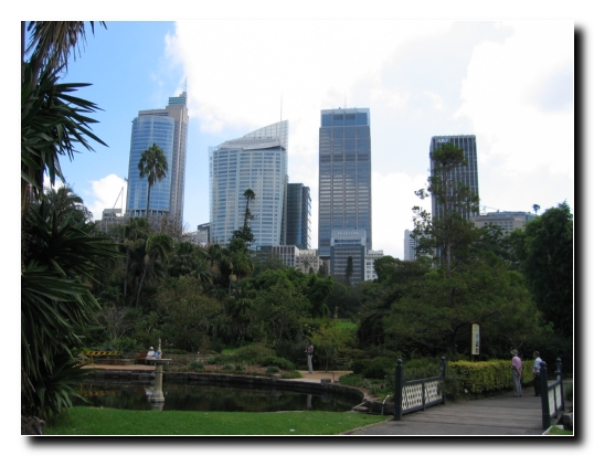 22 Royal Botanic Garden Sydney 